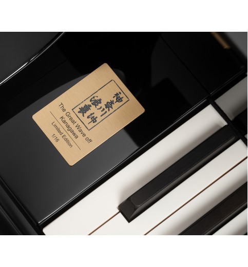 Bösendorfer Vienna Concert 214VC Kanagawa
